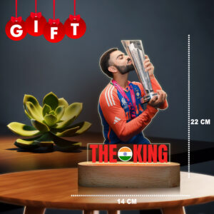 Virat Kohli T20-2024 - Image 4
